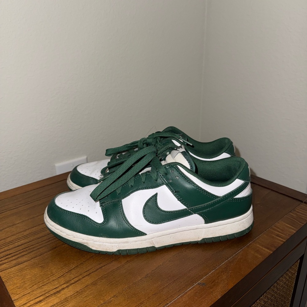 Nike dunks Michigan